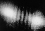 Interference Fringes