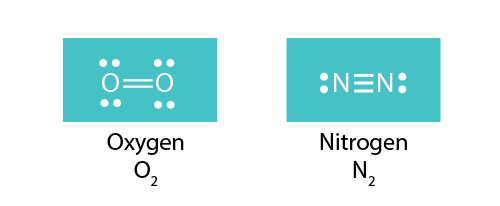 The bonds between gaseous oxygen and nitrogen atoms. In oxygen gas (O2), two atoms share a double bond resulting in the structure O=O. In nitrogen gas (N2), a triple bond exists between two nitrogen atoms, N≡N.
