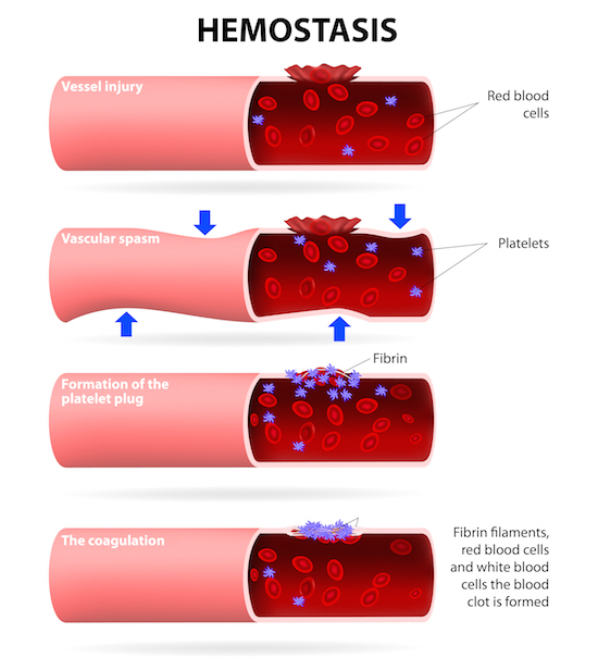 Hemostasis