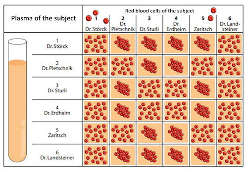Landsteiner experiment