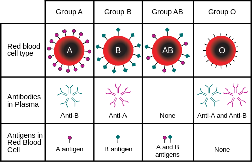 ABO blood type