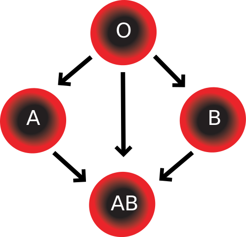 Blood compatibility
