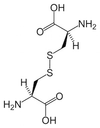 Disulfide bridge