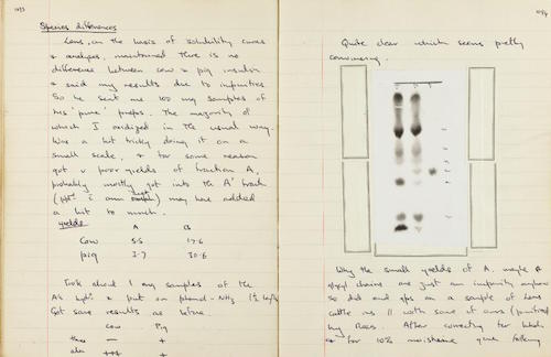 Frederick Sanger notebook