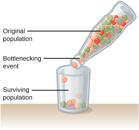Bottleneck event