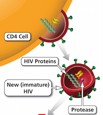 Protease inhibitor medicine