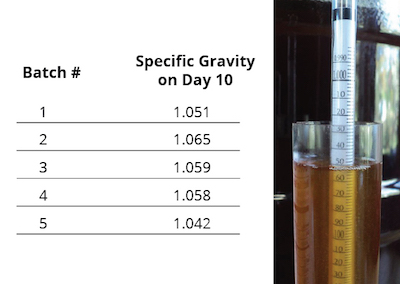 Beer chart2