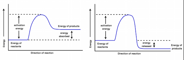 Endothermic and exothermic reactions