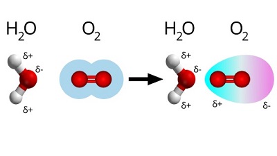 Water dipole