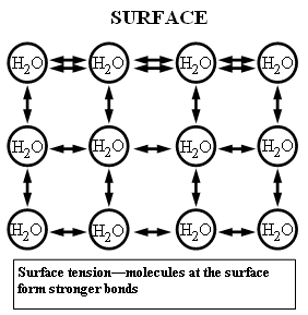Water surface tension