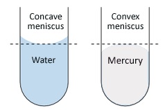 Meniscus types