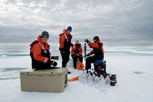Arrigo group on the ice