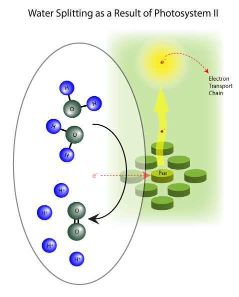 water splitting