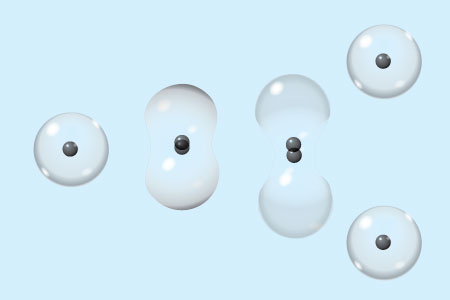 cells dividing