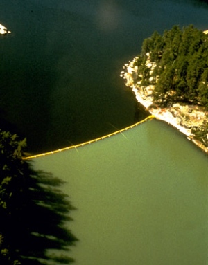 Lake Curtain