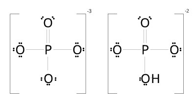 HPO4-2 and PO4-3