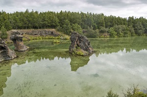 eutrophication in lake