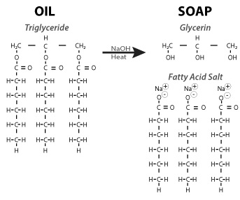 Saponification