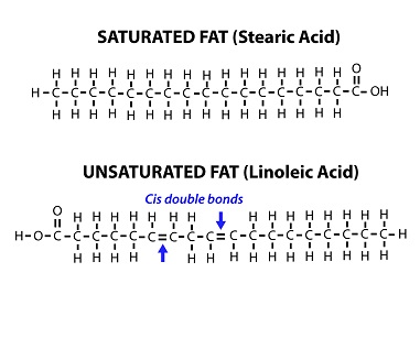 Saturated and unsaturated