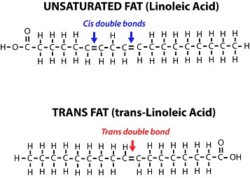 Cis vs trans double bonds
