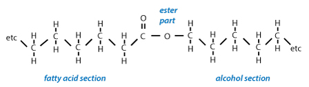 Wax ester