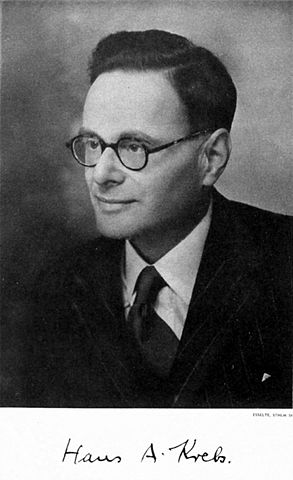 Krebs