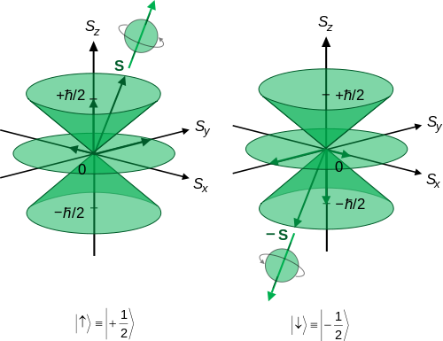 Spin angular momentum