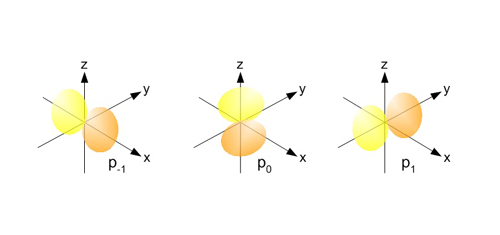 P orbital_rev
