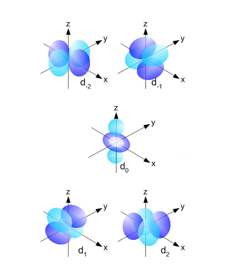 D orbitals_rev