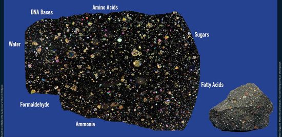 Murchison meteorite