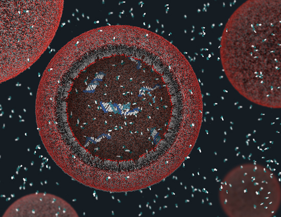 Protocell