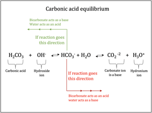 Carbonic Acid Equilibrium