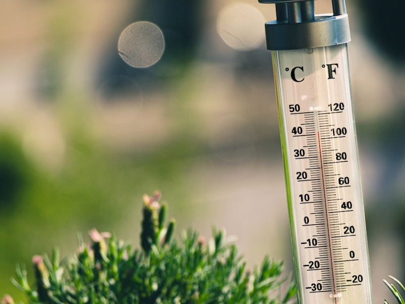 SCIENCE :: MEASURING DEVICES :: MEASURE OF TEMPERATURE