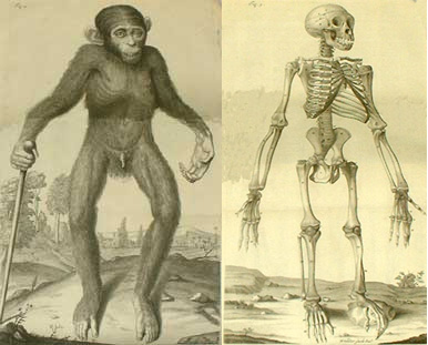 pygmie and skeleton