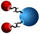water molecule - with hooks