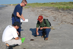 Researchers on the beach in Louisiana