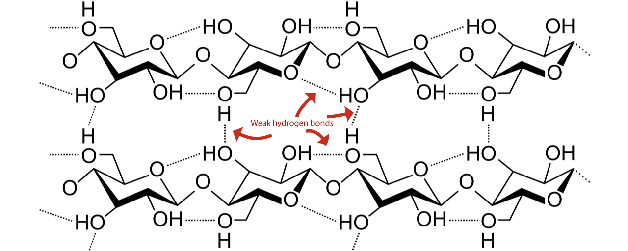 Cellulose weak hydrogen bonds