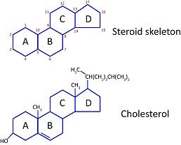 Steroid skeleton