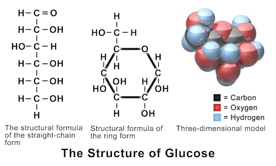 Glucose structures