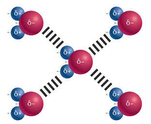 Hydrogen bonds_revised