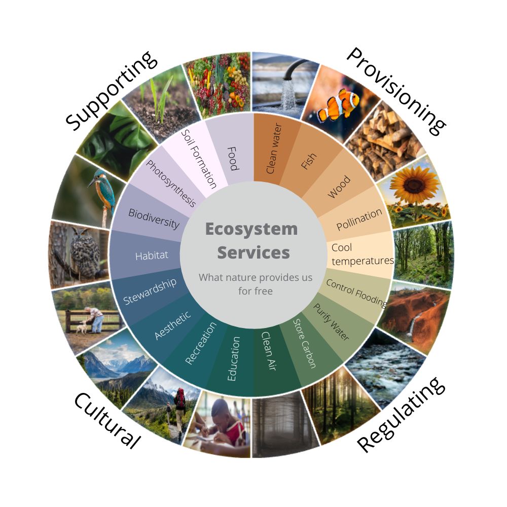 Ecosystem Services - Figure 2