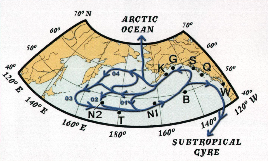 Ocean Currents 2