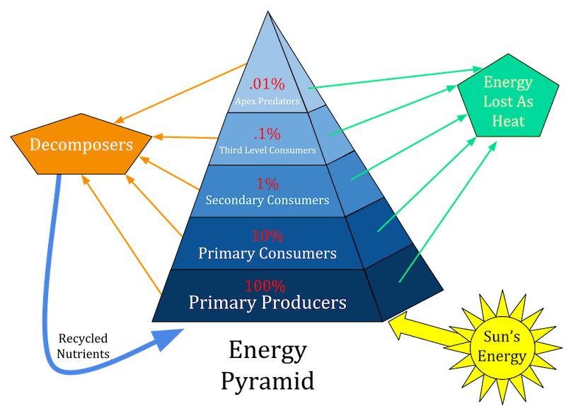 Figure 3: Energy pyramid.