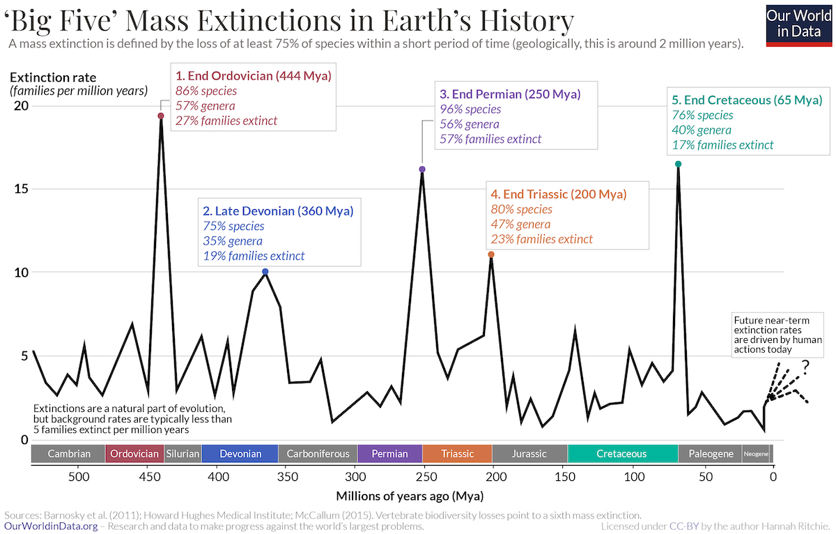 Figure 2: Mass Extinctions with the X-axis showing millions of years ago and the Y-axis showing the rate of extinction (using the broader groupings of taxonomic “families” of species).
