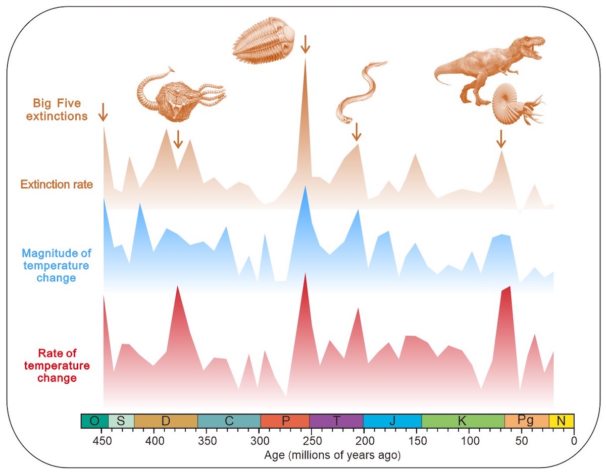 Figure 7: Temperature changes and extinction rates over the past 450 million years. 