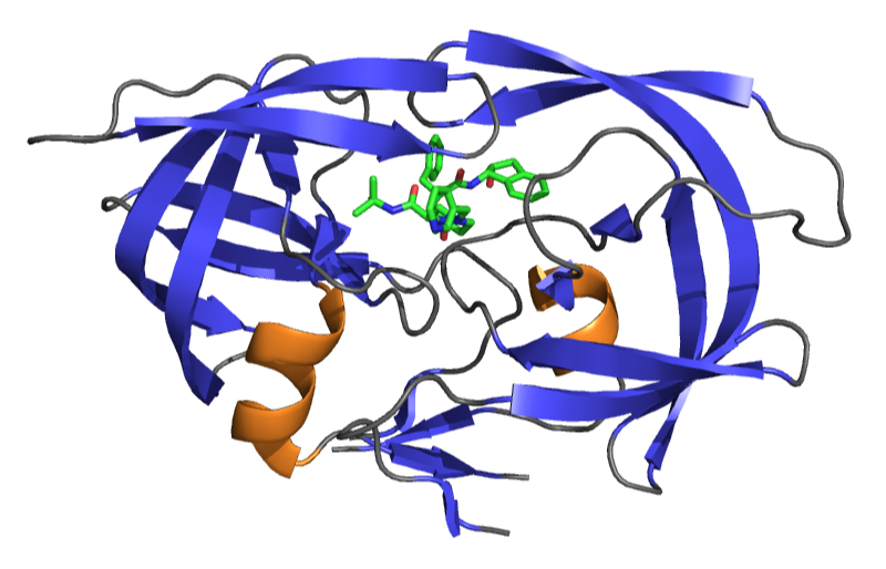 Figure 1: This computer-generated image shows the antiretroviral drug Crixivan. The green structure in the center is the drug molecule, fitting snugly inside the HIV protease protein, which is shown in purple and orange. By binding to the protease molecule, the drug prevents the virus from reproducing. The drug Crixivan was first identified by computer modeling that relied on the concept of valency to predict binding and deactivation of HIV protease.