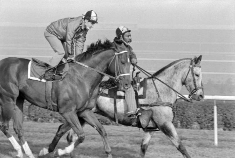 Figure 1: Racehorse Secretariat (left) training with another horse in Toronto.