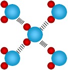 hydrogen - bond
