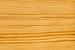 pine