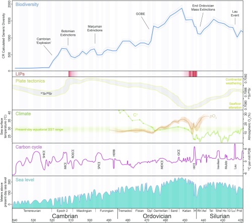 CC BY-NC-ND 4.0 DEED Rasmussen et al., 2019